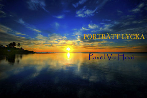 Cover image for book Portratt Lycka