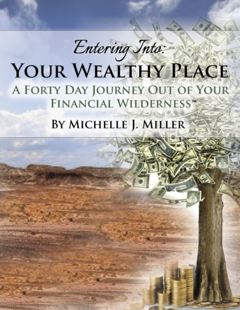 Cover image for book Entering Into Your Wealthy Place: A Forty Day Journey Out of Your Financial Wilderness