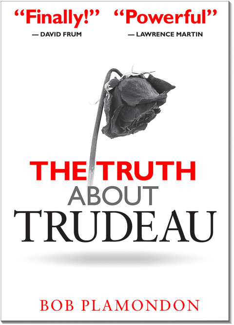 Cover image for book The Truth About Trudeau