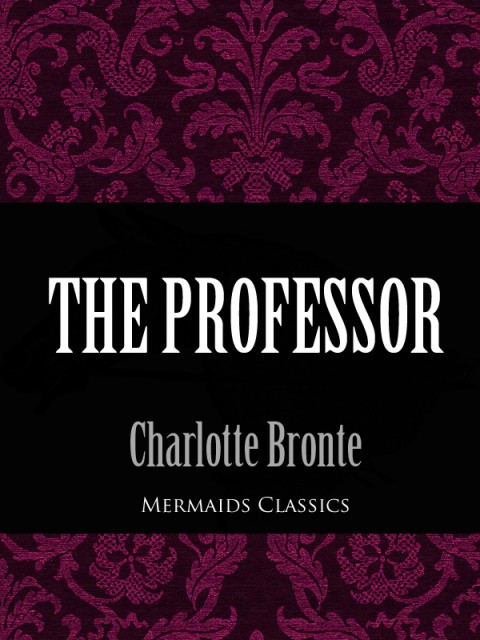 Cover image for book The Professor (Mermaids Classics)