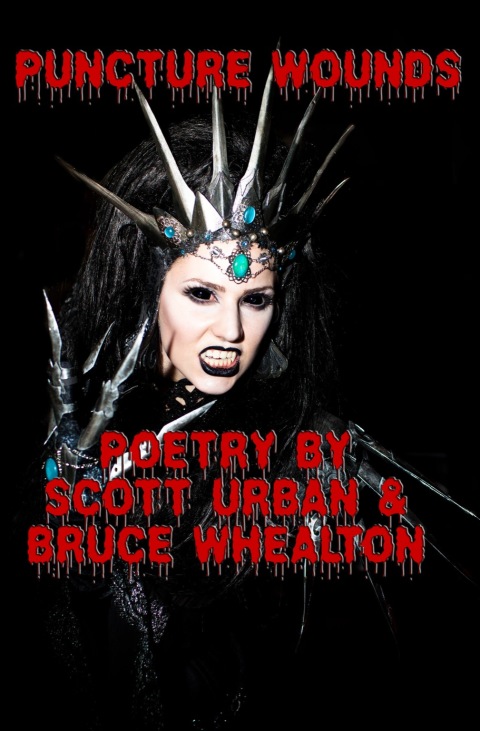 Cover image for book Puncture Wounds
