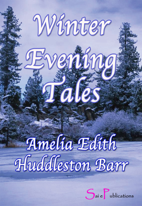 Cover image for book Winter Evening Tales