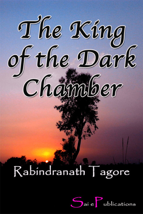 Cover image for book The King of the Dark Chamber