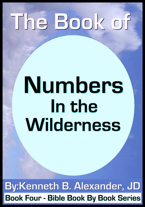 Cover image for book The Book of Numbers - In the Wilderness