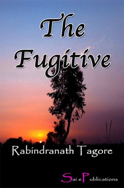 Cover image for book The Fugitive