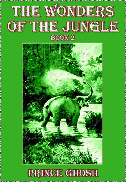 Cover image for book The Wonders of the Jungle, Book 2