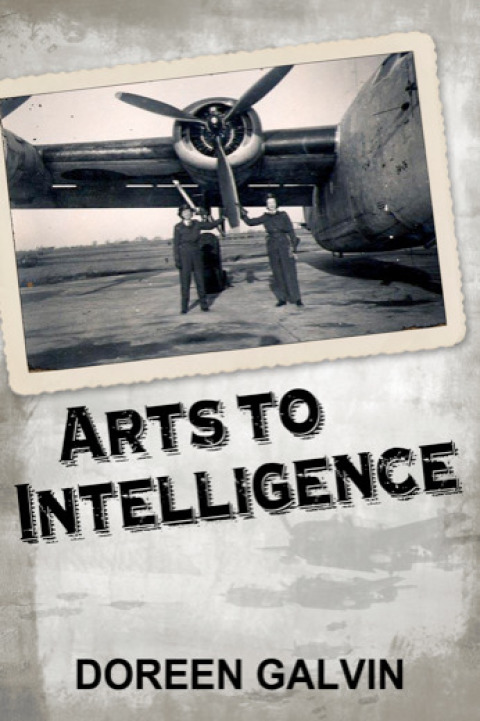 Cover image for book Arts to Intelligence