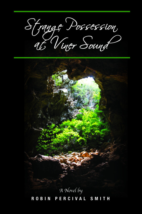 Cover image for book Strange Possession at Viner Sound