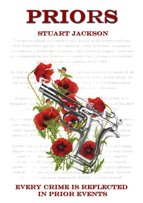 Cover image for book Priors