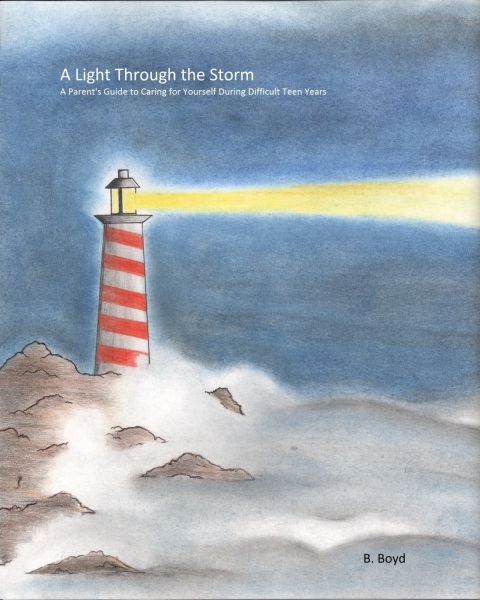 Cover image for book A Light Through the Storm