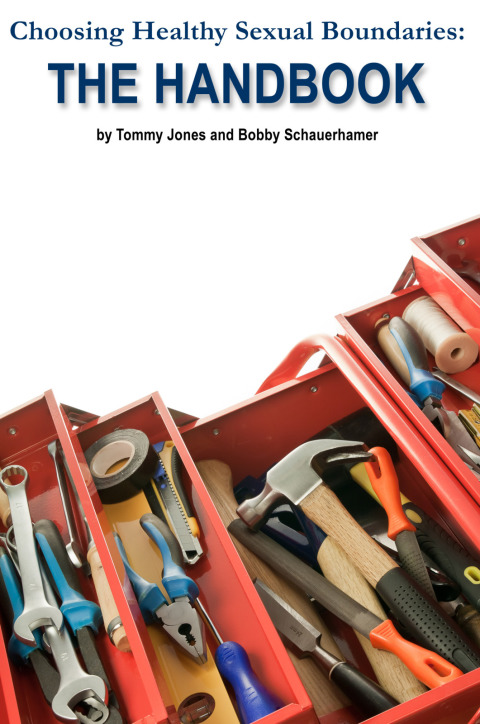 Cover image for book Choosing Healthy Sexual Boundaries: The Handbook