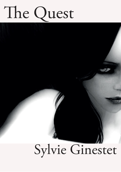 Cover image for book The Quest