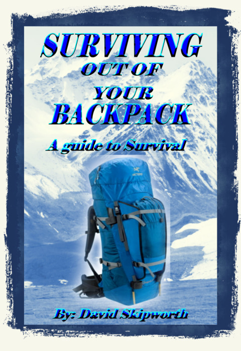 Cover image for book Surviving Out of Your Backpack