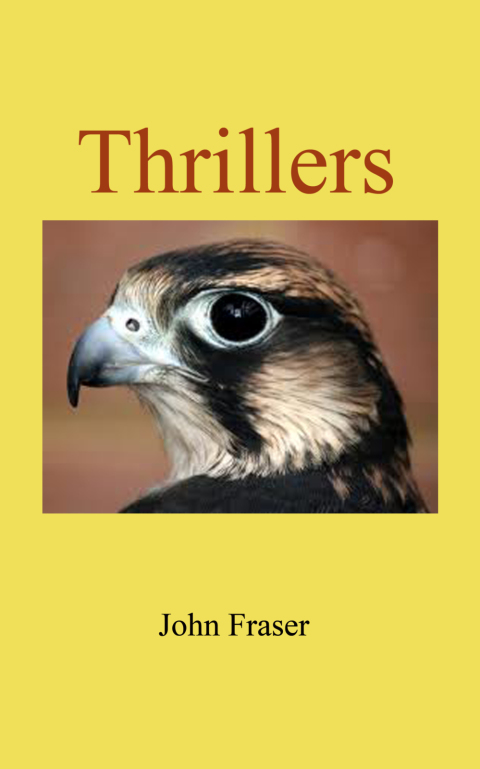 Cover image for book Thrillers