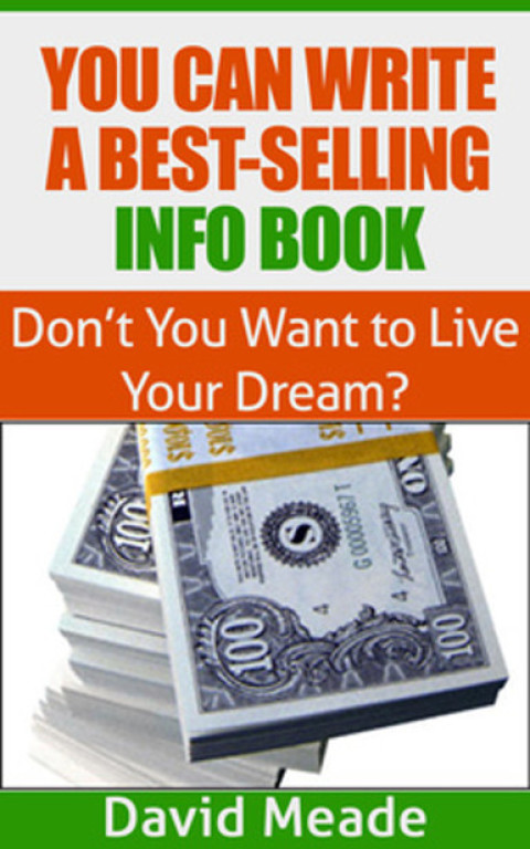 Cover image for book You Can Write a Best-Selling Info Book!