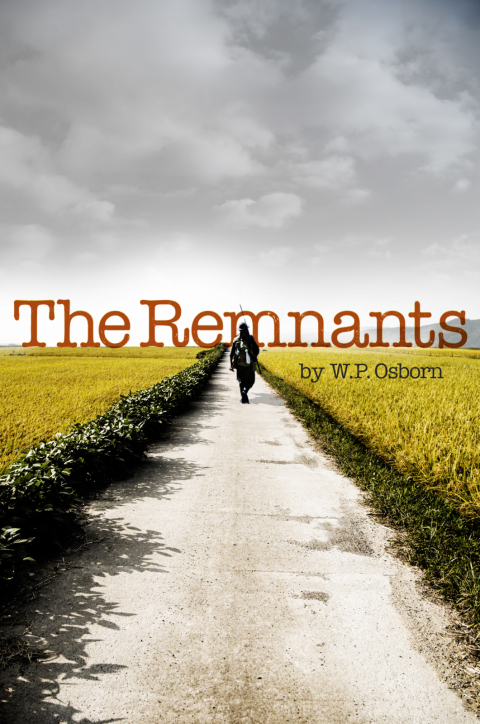 Cover image for book The Remnants