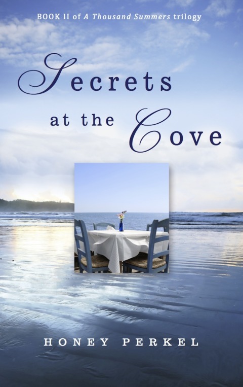 Cover image for book Secrets At the Cove