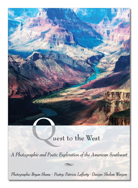 Cover image for book Quest To The West