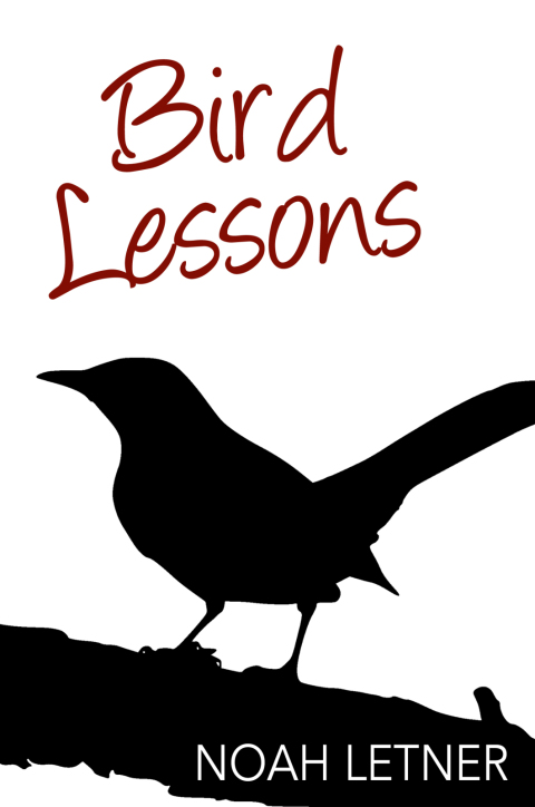 Cover image for book Bird Lessons