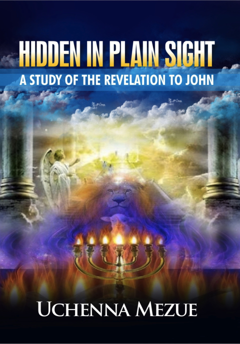 Cover image for book Hidden In Plain Sight: A Study of the Revelation to John