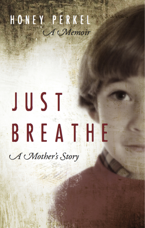 Cover image for book Just Breathe