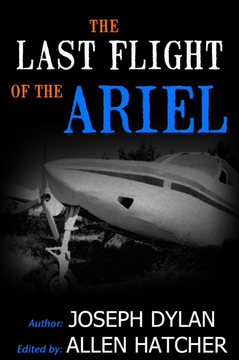 Cover image for book The Last Flight of the Ariel