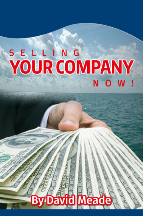 Cover image for book Selling Your Company Now!