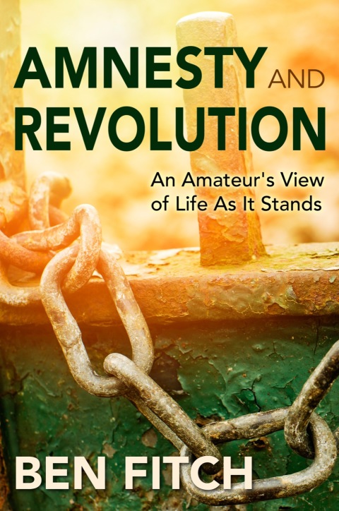 Cover image for book Amnesty and Revolution: An Amateur's View of Life As It Stands