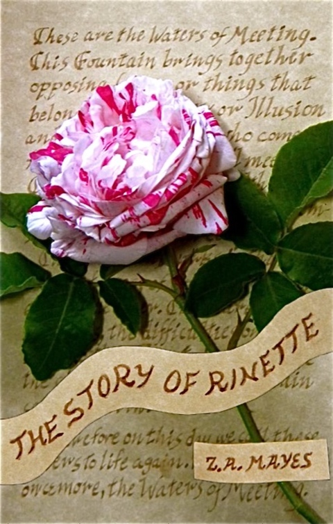 Cover image for book The Story of Rinette