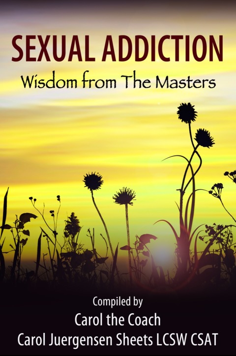 Cover image for book Sexual Addiction: Wisdom from The Masters