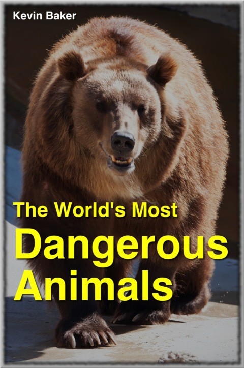 Cover image for book The World's Most Dangerous Animals