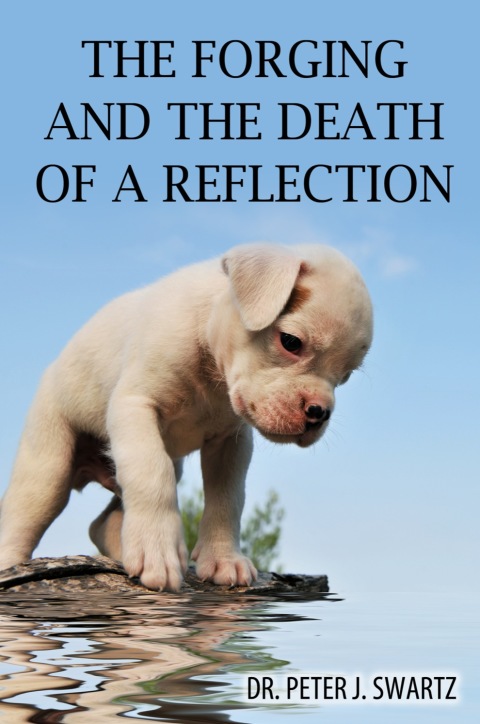 Cover image for book The Forging and the Death of a Reflection