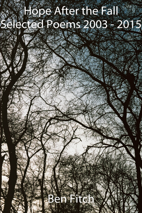 Cover image for book Hope After the Fall