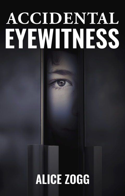 Cover image for book Accidental Eyewitness