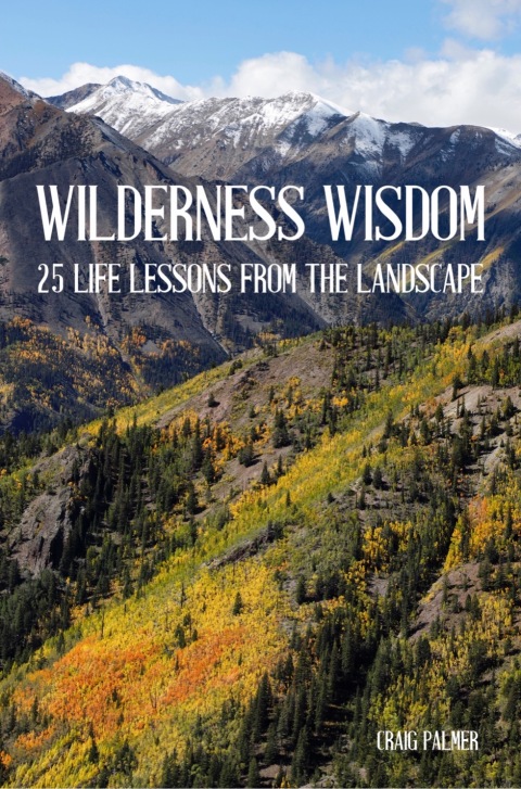 Cover image for book Wilderness Wisdom