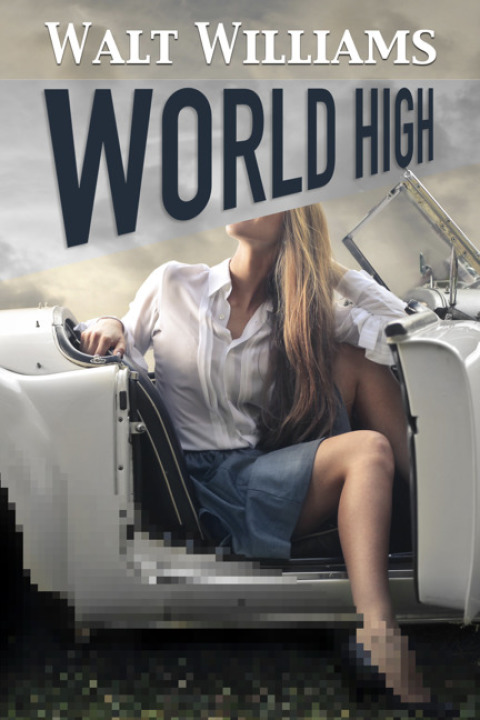 Cover image for book World High
