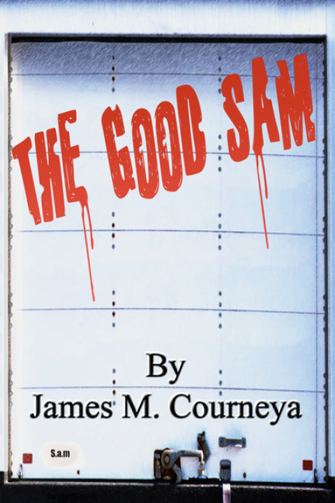 Cover image for book The Good Sam