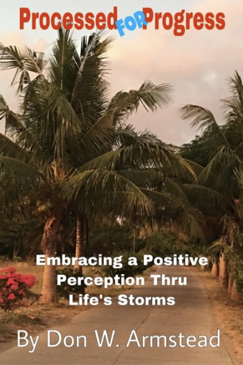 Cover image for book Processed For Progress