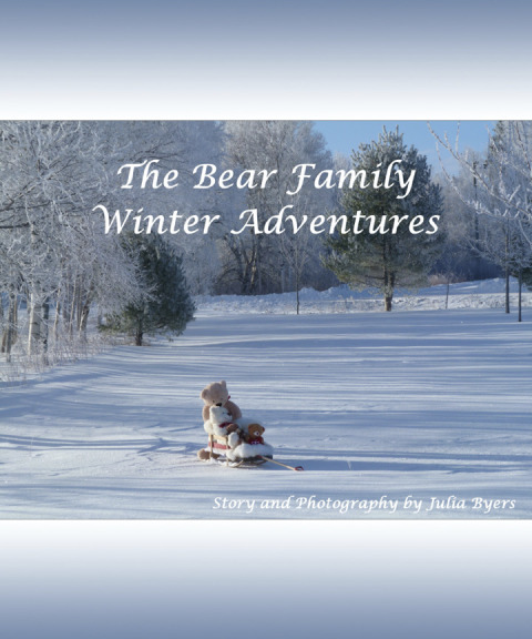 Cover image for book The Bear Family Winter Adventures