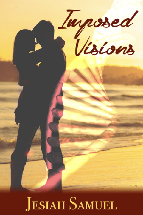 Cover image for book Imposed Visions