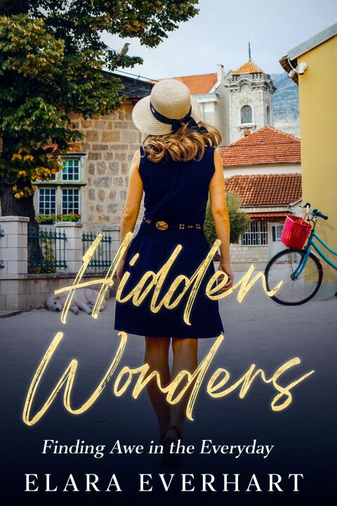 Cover image for book Hidden Wonders