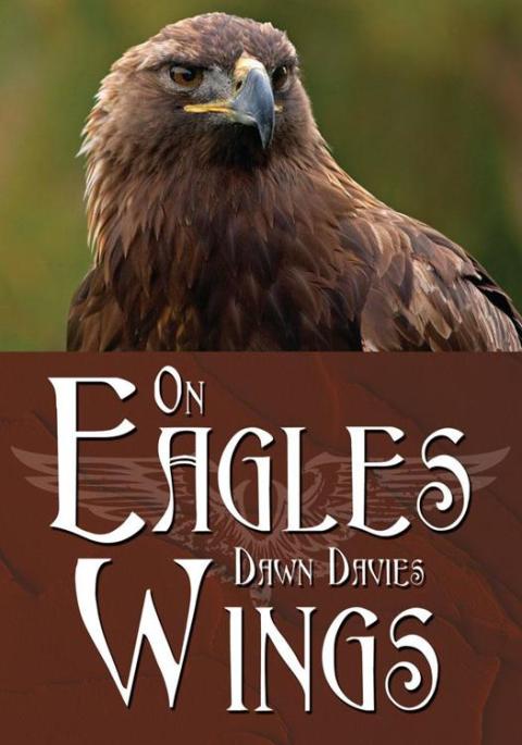 Cover image for book On Eagles Wings