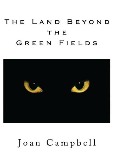 Cover image for book The Land Beyond the Green Fields