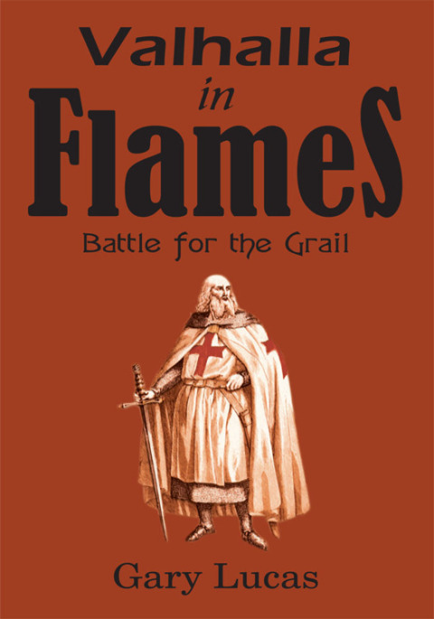 Cover image for book Valhalla in Flames