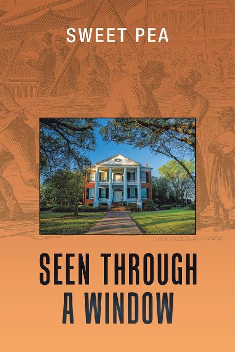 Cover image for book Seen Through a Window