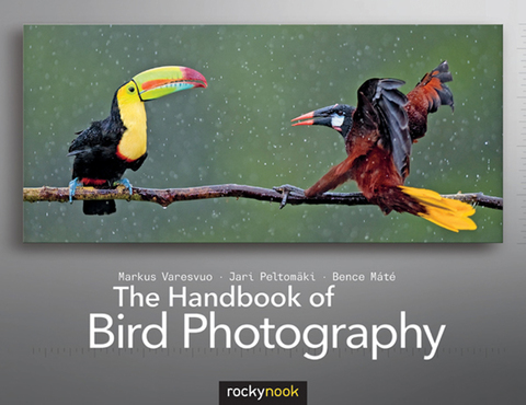 Cover image for book The Handbook of Bird Photography