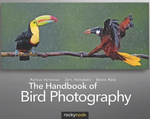 Cover image for book The Handbook of Bird Photography
