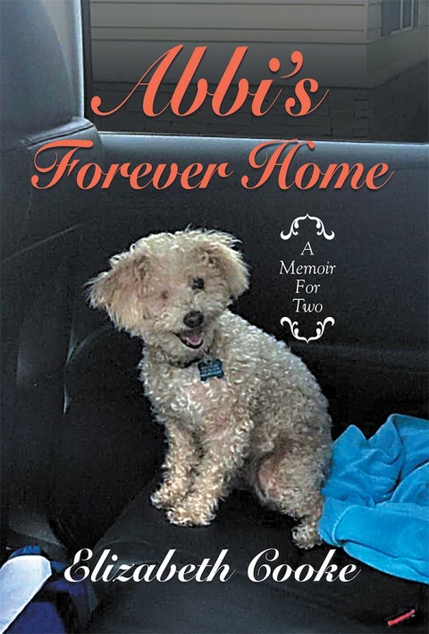Cover image for book Abbi’S Forever Home