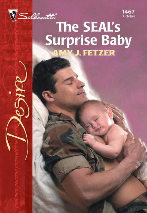 Cover image for book The Seal's Surprise Baby