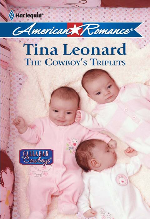 Cover image for book The Cowboy's Triplets